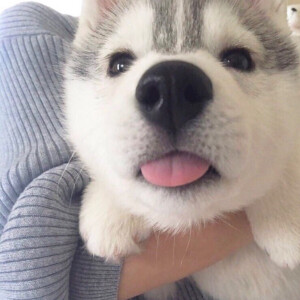 略略略