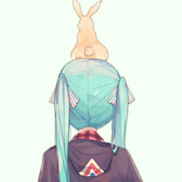 动漫女头精选/日更