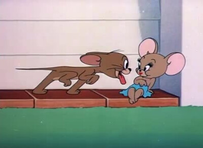猫和老鼠