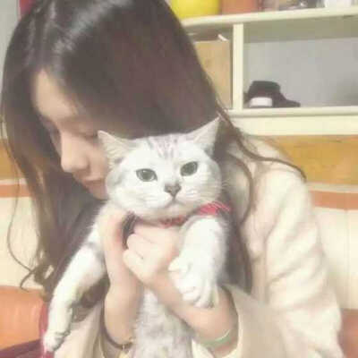 她和猫