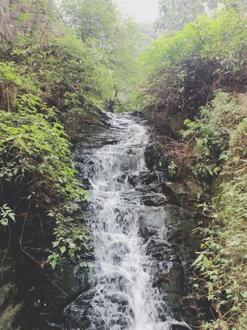 山上的风景