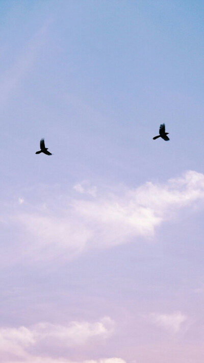 仙儿♡壁纸♡天空
我喜欢天空大海还有你的声音