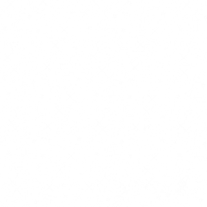 格子素