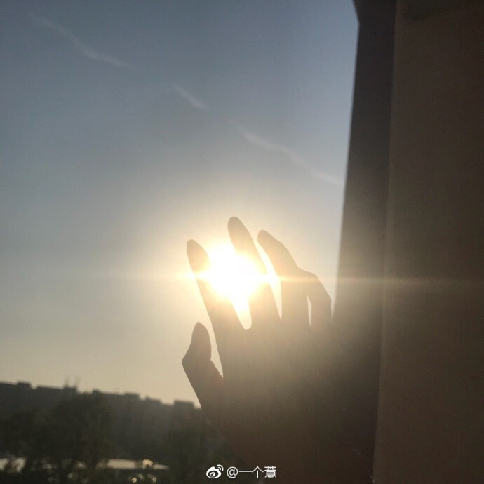 你本来是孤独的壁虎我生来是掌上明珠