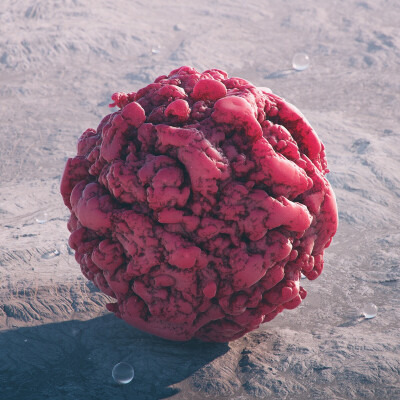 は蛋｜Filip Hodas