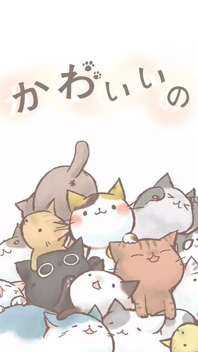 可愛いの猫