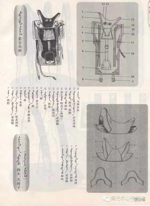 蒙古族传统文化知识