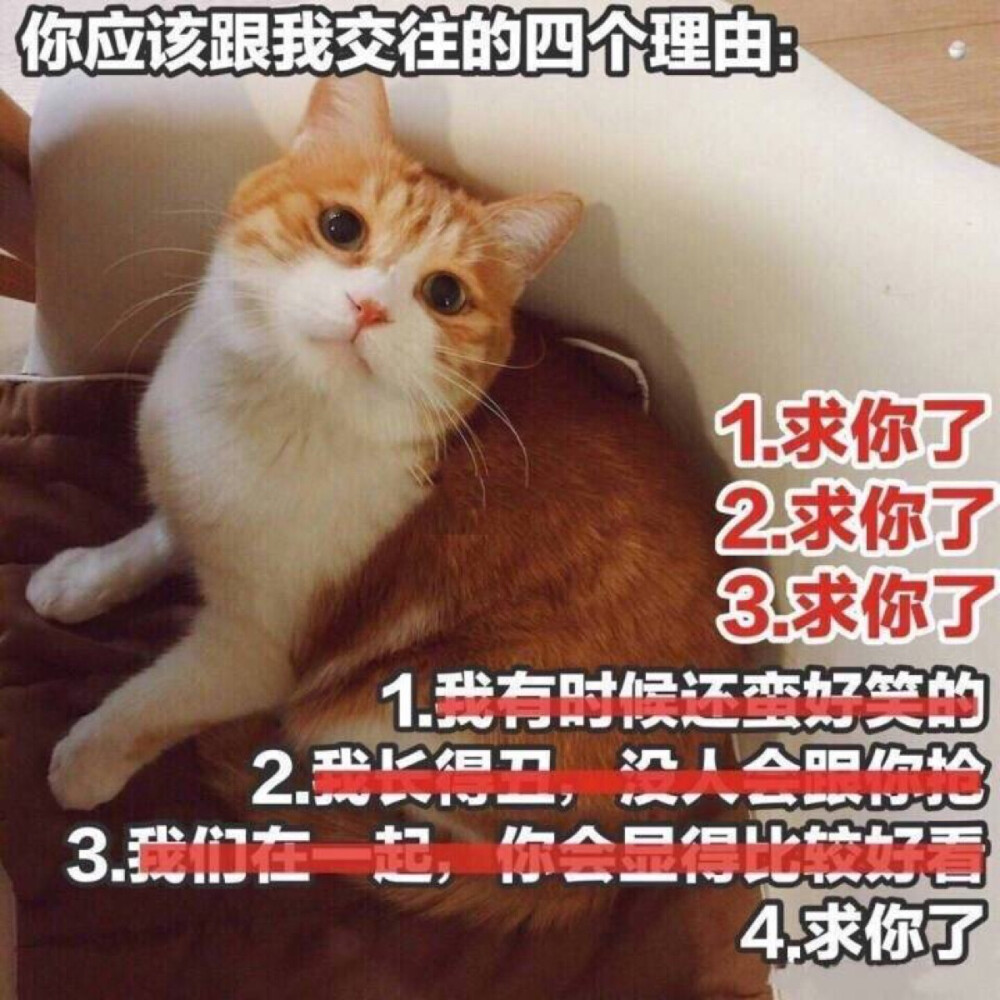 求求你