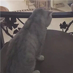 by:训乖 #情侣头像