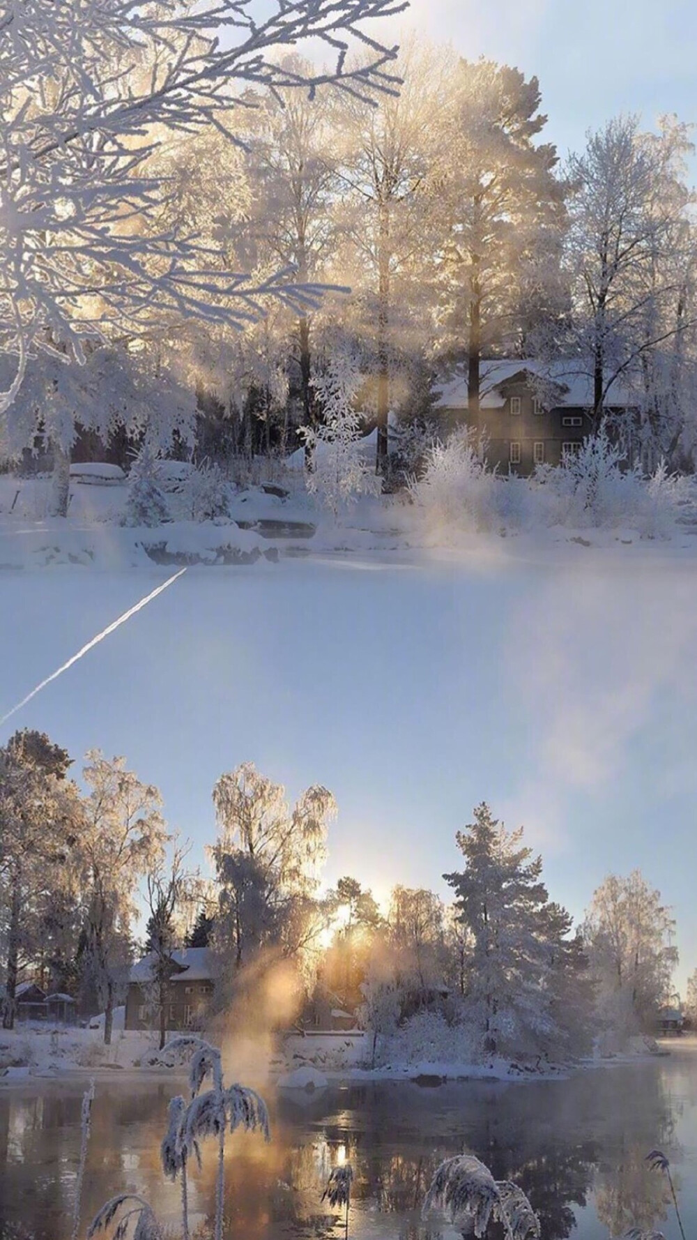 雪景