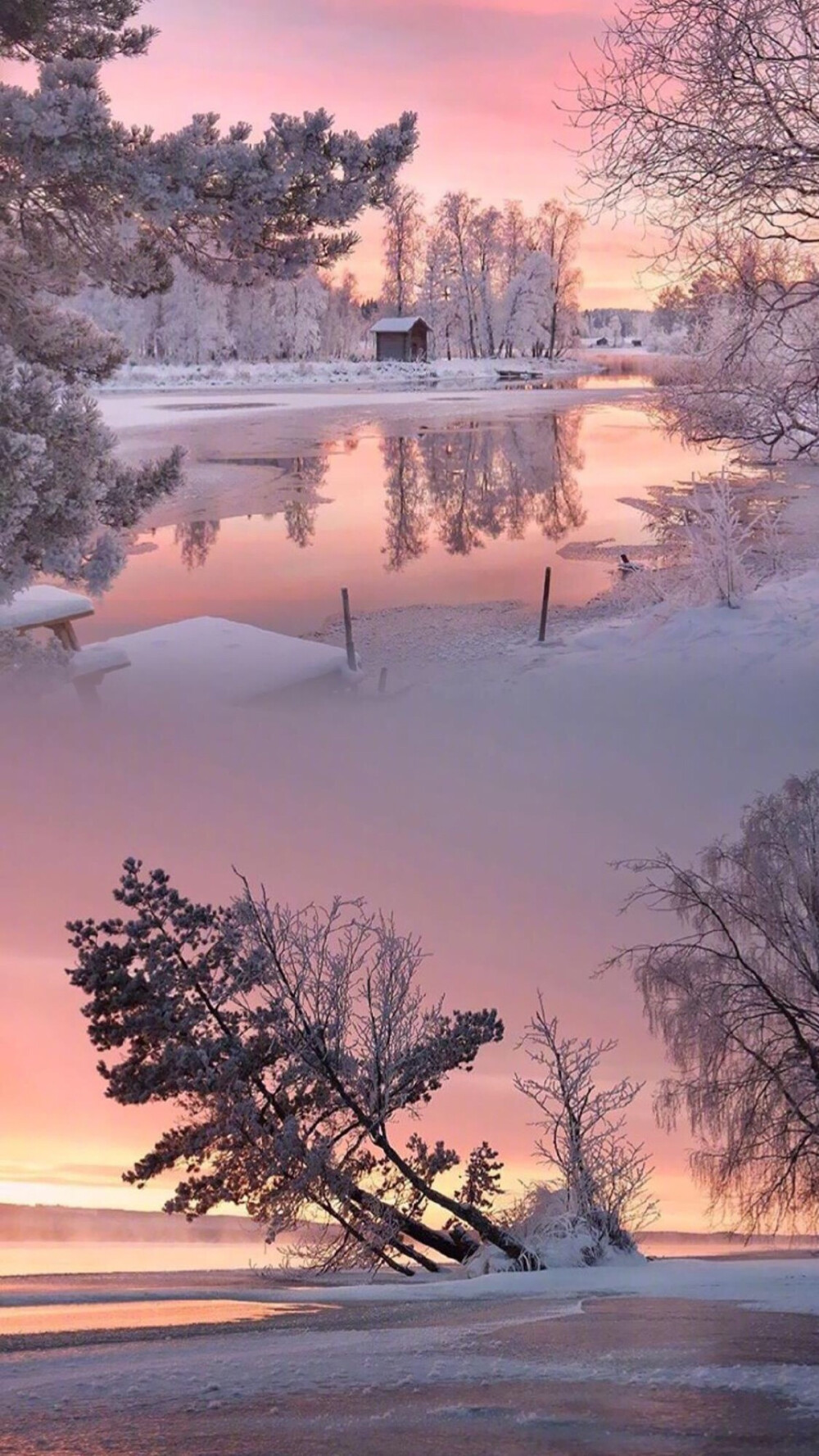 雪景