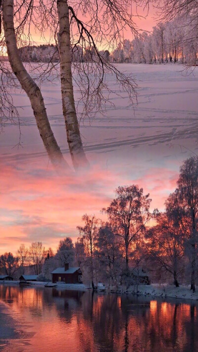 雪景