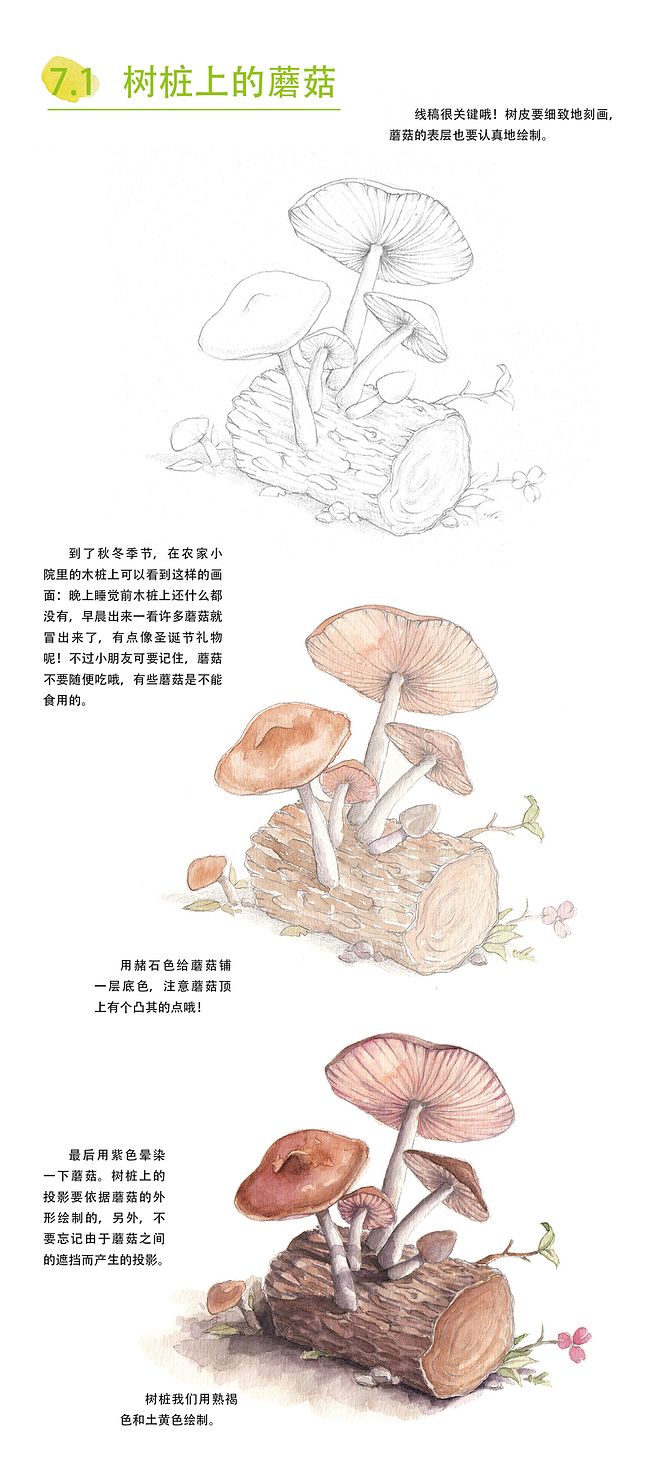 本案例摘自爱林文化主编、人民邮电出版社出...