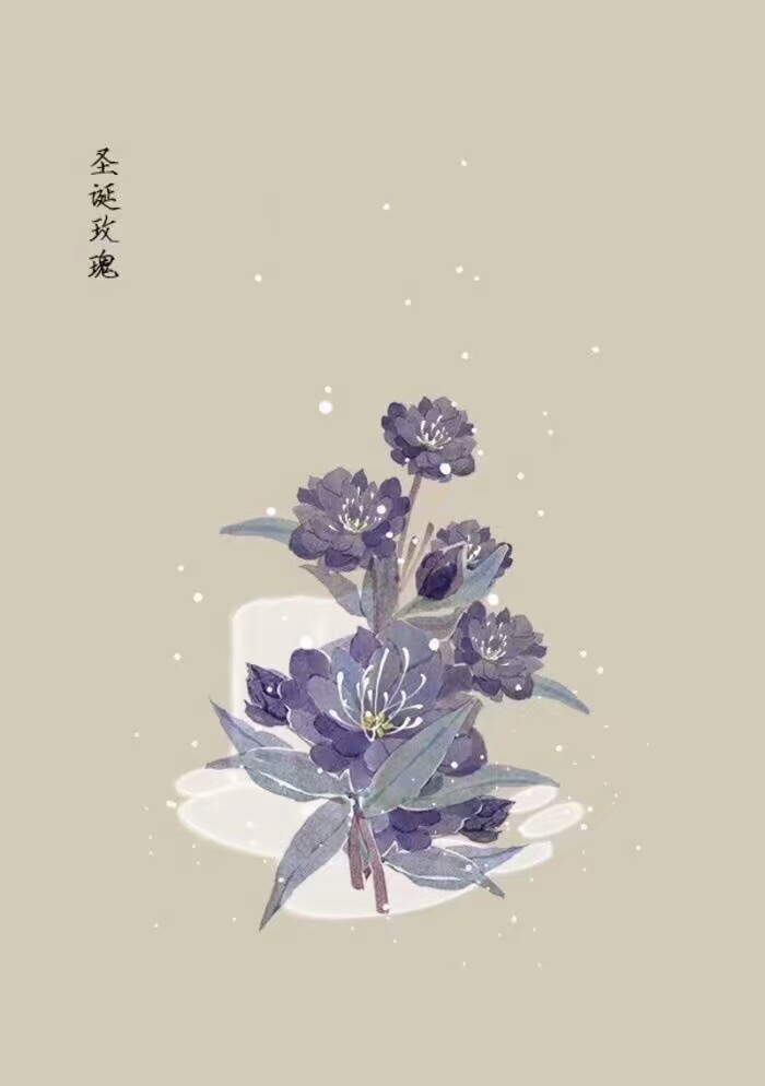 古风花卉