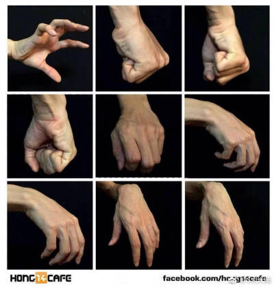 手部参考