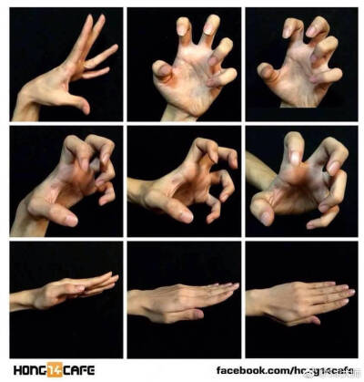 手部参考