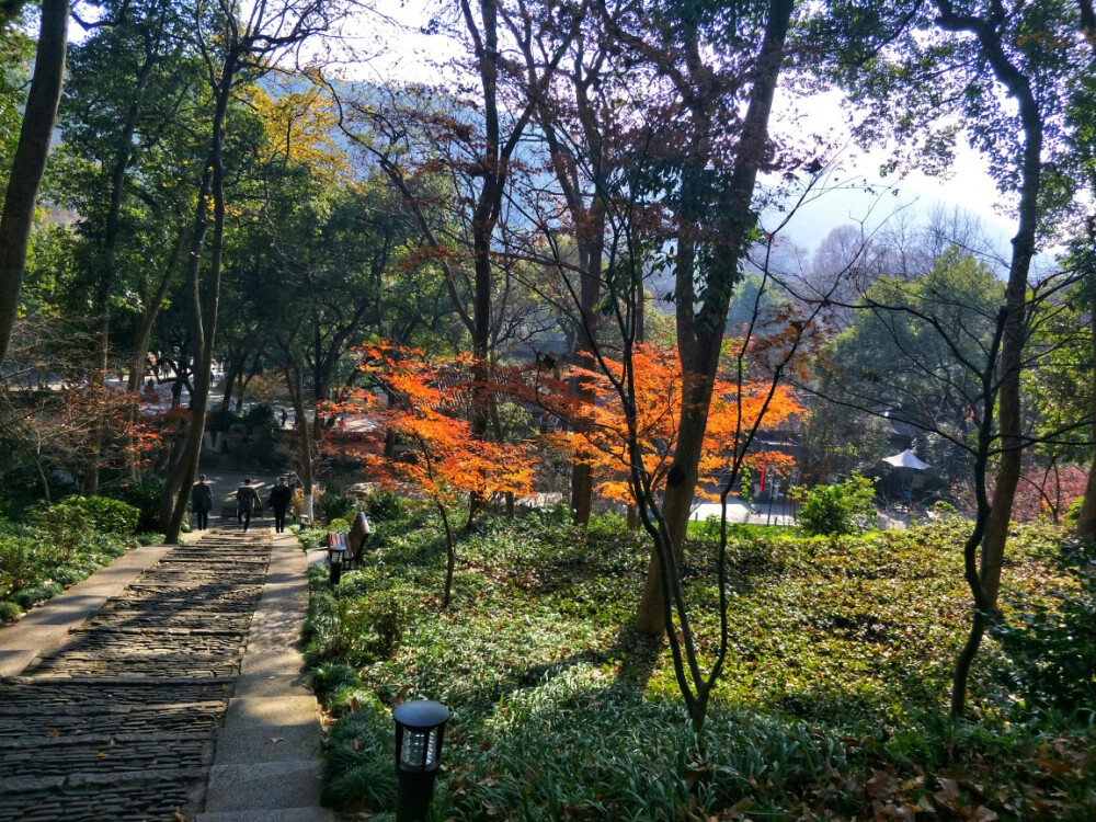 雷峰塔