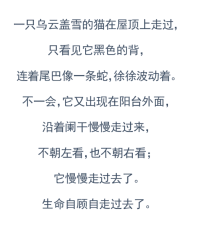 张爱玲《等》