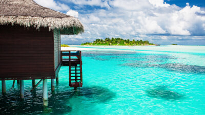 冬天要去温暖的地方