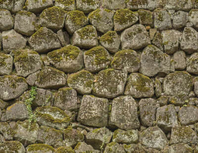 castle wall old medieval japanese moss mossy brick stones japan