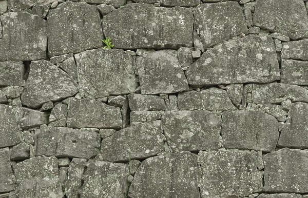 brick bricks medieval old castle wall Japan Japanese