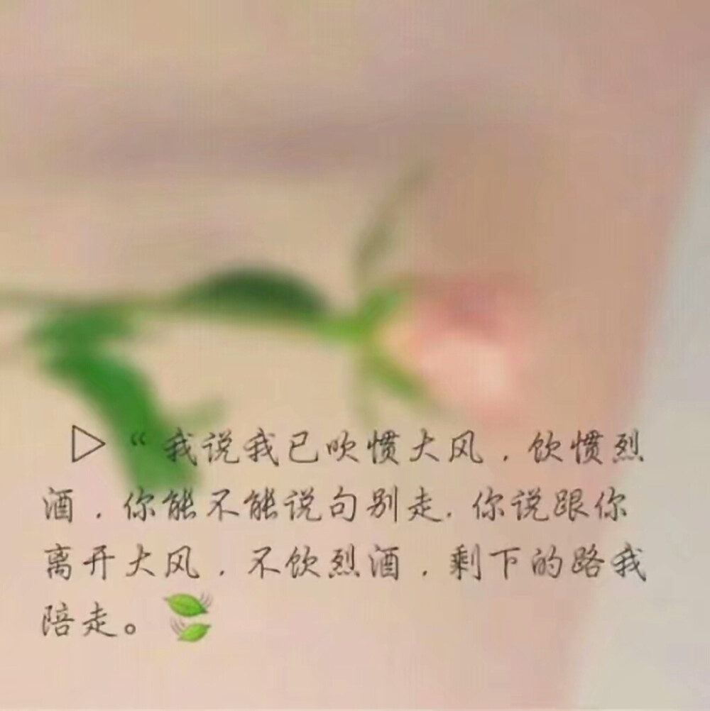 文字 情话 伤感