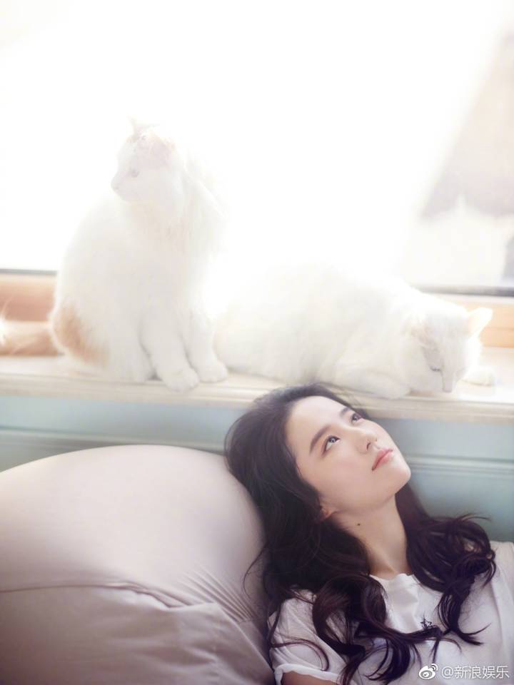 从你的全世界路过