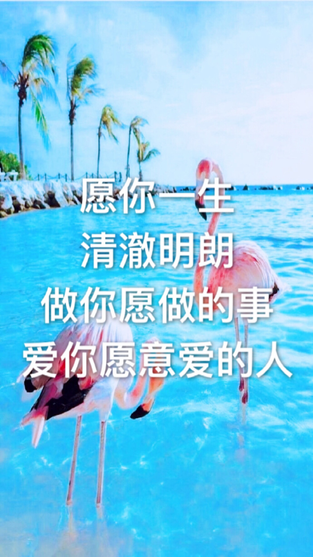 文字 壁纸 火烈鸟