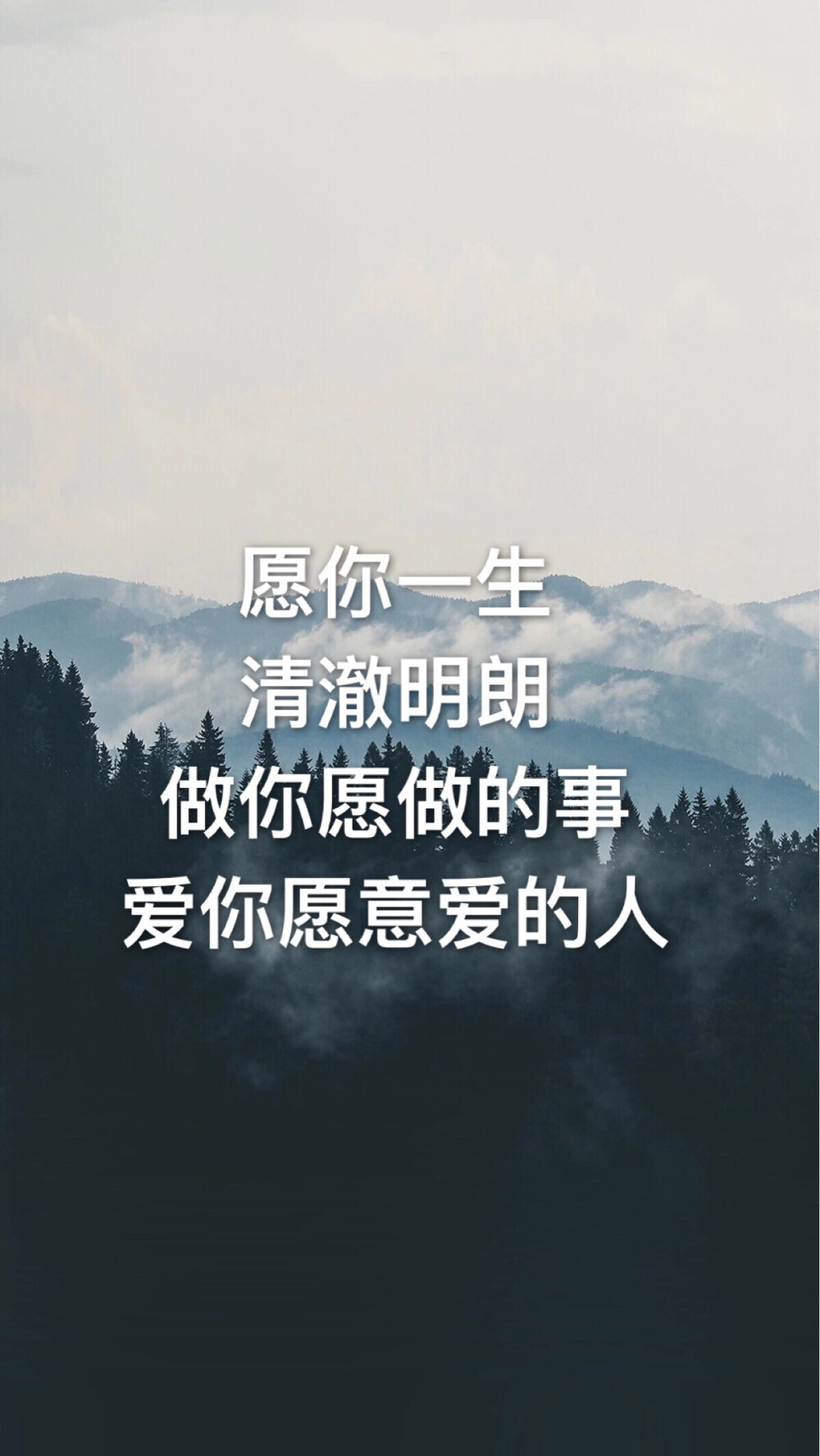 文字 森林 壁纸 