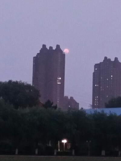 今夜月色正好。