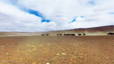 羌塘自然保护区