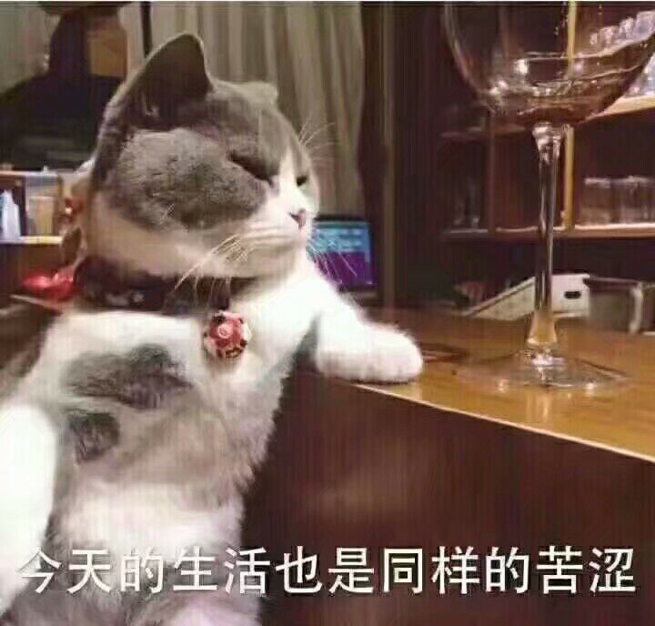 怎么可以这么可爱