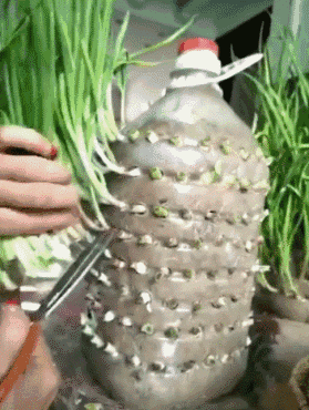 立体种植