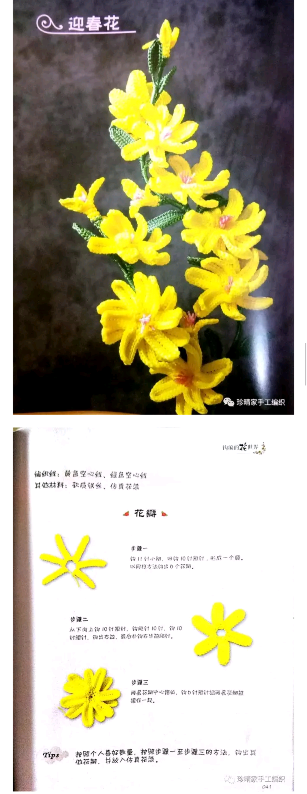 九迎春花花语相爱到永远