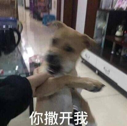 你撒开我