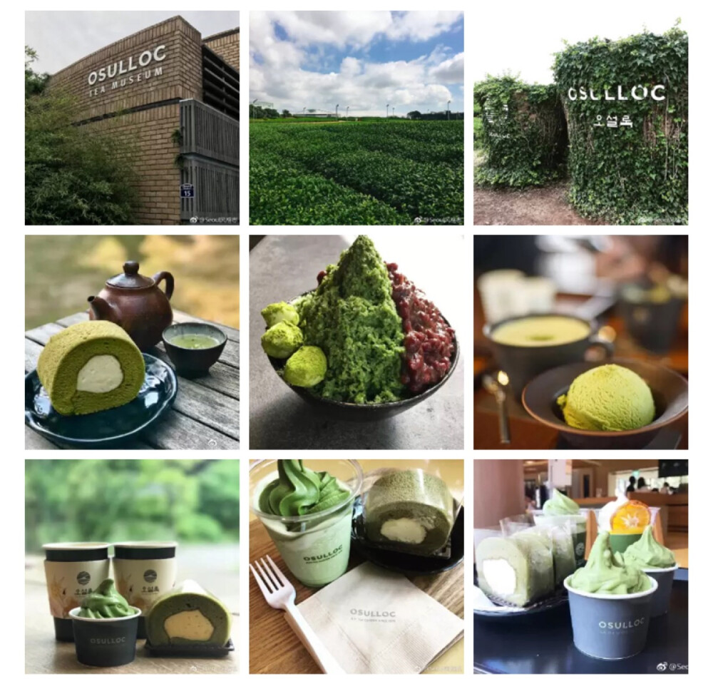 • Hotspot •
Osulloc是韩国特别出名的绿茶brand
Osulloc House咖啡店在韩国有十多家分店
各种绿茶口味的甜品绝对是抹茶控宝宝们的福音
位于济州岛的这家特别的是有一个小型博物馆
门前一大片的绿茶种植园 让人心旷神怡
地址：
15, Sinhwayeoksa-ro, Andeok-myeon, Seogwipo, Jeju Island, South Korea