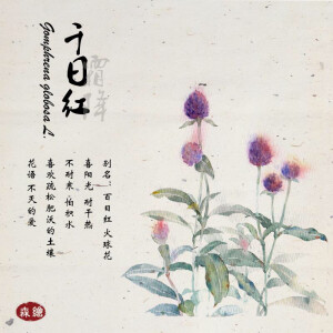 Sancy的花名册