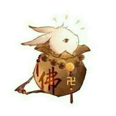团头，兔子