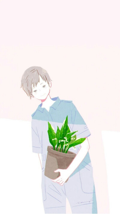壁纸