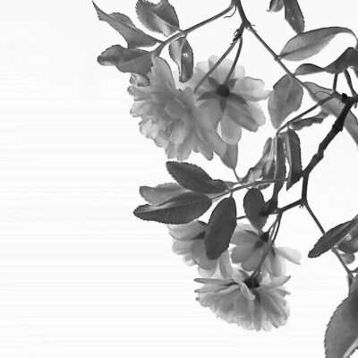 古风头像 易萧然♡