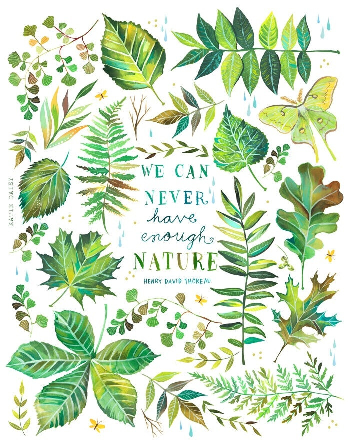 #手绘素材#【花朵字母图案】来自插画师Katie Daisy，仅作分享练习使用。 ​​​