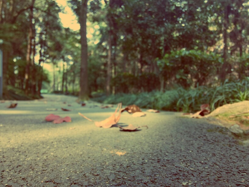 趴在地上好辛苦