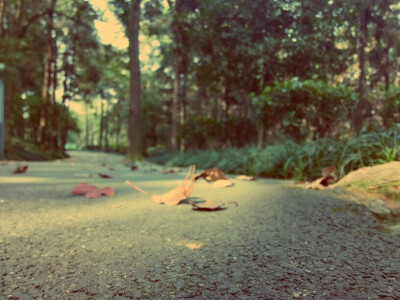 趴在地上好辛苦