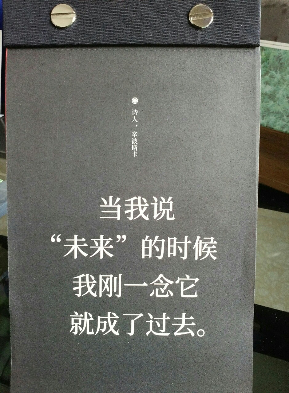 【單日历】
当我说
“未来”的时候
我刚一念它
就成了过去。
――诗人，辛波斯卡