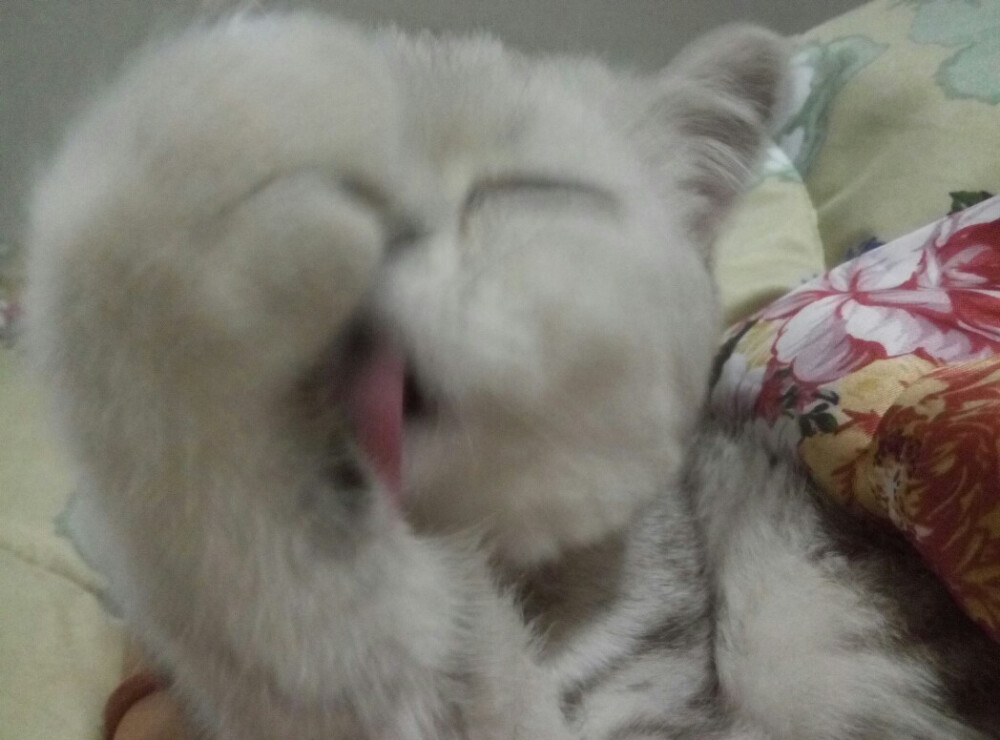 舔到看不清自己