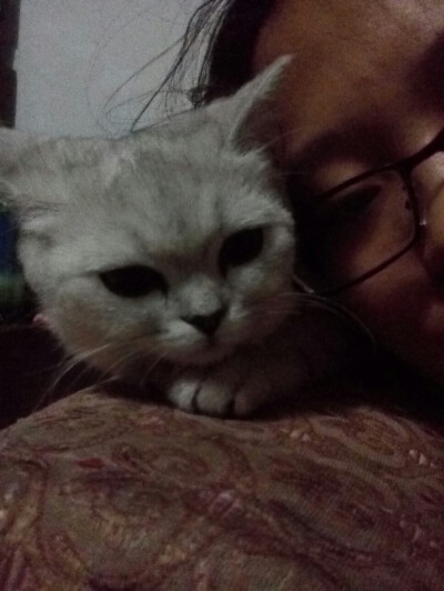 元旦的合照 来 看镜头