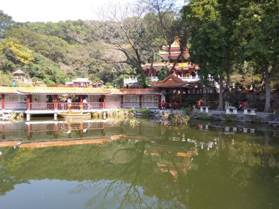 2017.12.13 仙湖植物园 盆景园