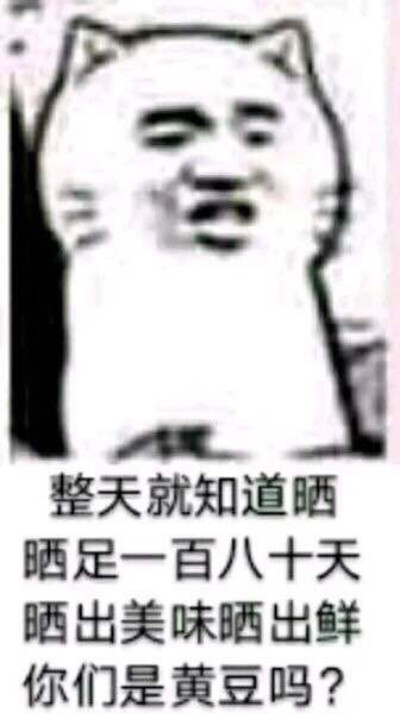 哈哈哈哈哈