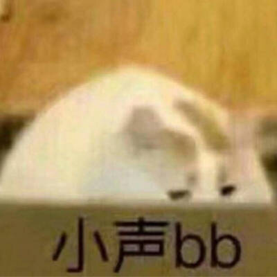 萌宠，猫咪表情包