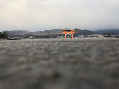 厳島神社大鳥居